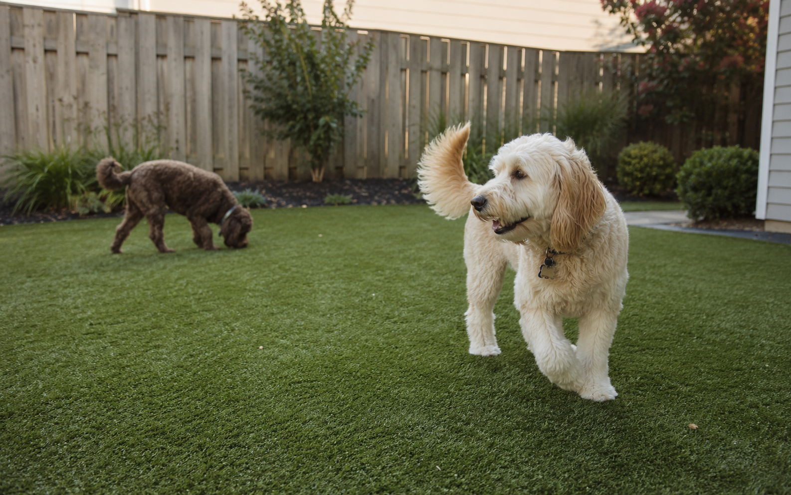 Artificial grass for pets